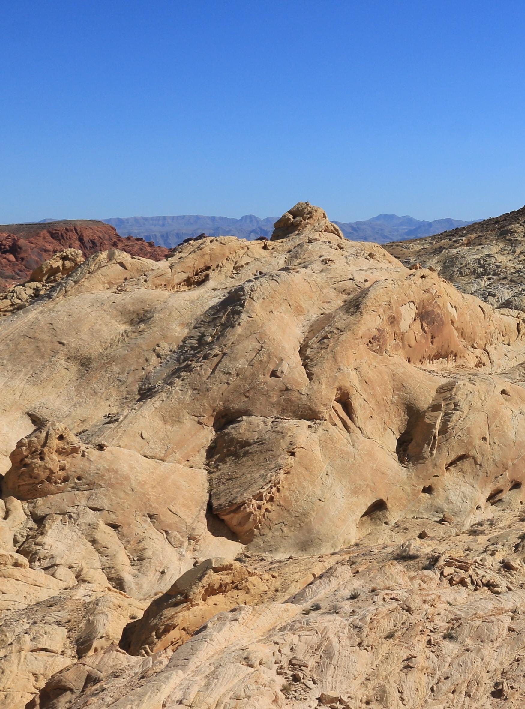 Nevada